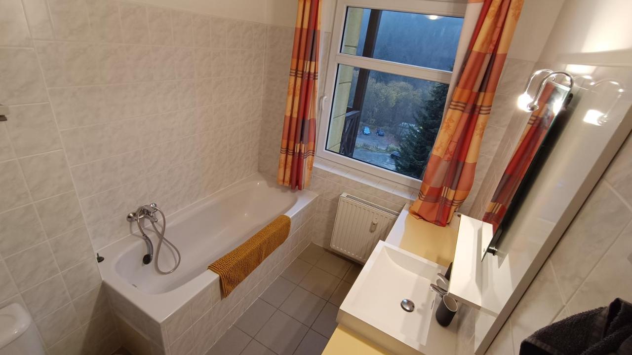 Apartmanek U Lanovky Apartment Janske Lazne